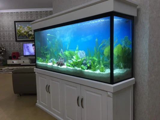 Bể cá phong thủy nhà anh Hùng Đại Thanh