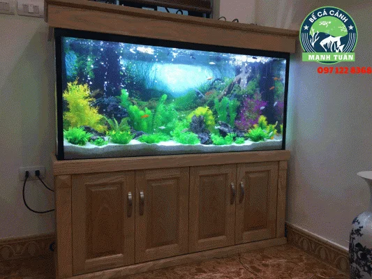 Bể thủy sinh cây nhựa đẹp dễ chăm