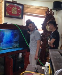 Thi công bể cá rồng của anh Huy tại Mỗ Lao Hà Đông