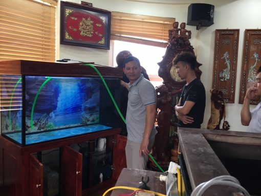 Thi công bể cá rồng của anh Huy tại Mỗ Lao Hà Đông