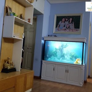 Bể cá rồng nhà anh Linh chung cư CT2A Xa La Hà Đông 1