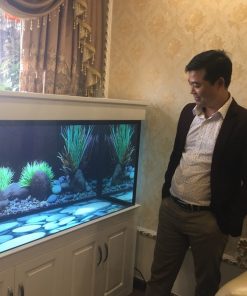 Thiết kế bể cá cho nhà anh Vinh tại chung cư Kim Giang