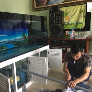 Bể cá rồng nhà anh Sơn Quốc Oai 2