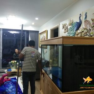 Bể cá rồng nhà anh Trung tại chung cư Nguyễn Tuân 1