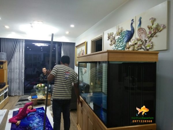 Bể cá rồng nhà anh Trung tại chung cư Nguyễn Tuân 1