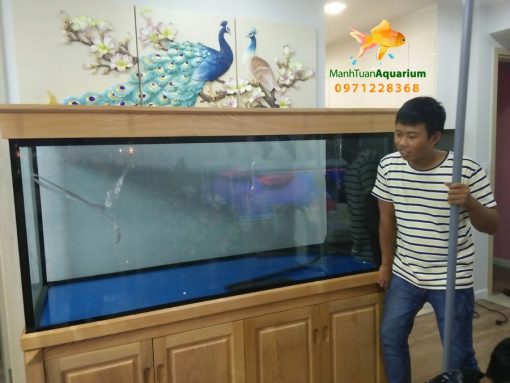 Thiết kế bể cá nhà anh Trung tại chung cư Nguyễn Tuân