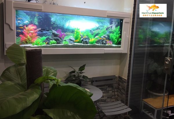 Bể cá treo tường ốp gỗ nhà chị Minh 1