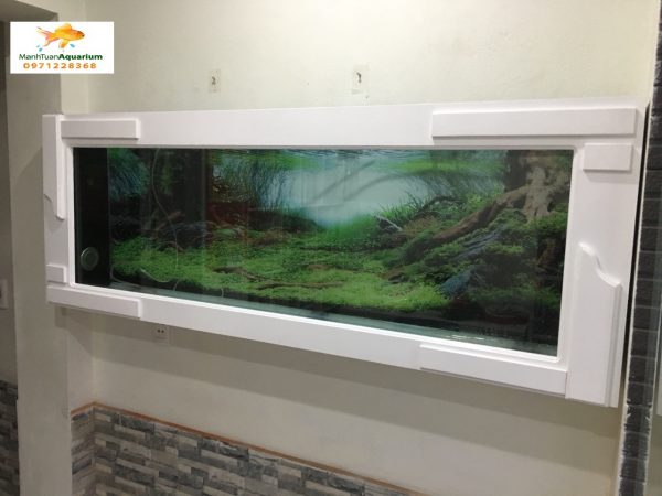 Bể cá treo tường ốp gỗ nhà chị Minh 2