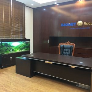 Bể cá thủy sinh tại Công ty Bảo Việt 2