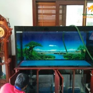 Bể cá rồng nhà chú Lãm tại Biệt thự Mỹ Đình 3