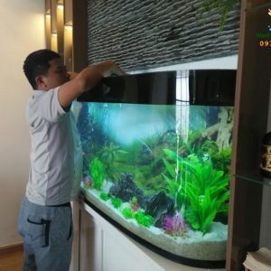 Giới thiệu bể thủy sinh của anh Hùng – nhà Mỹ Đình 3