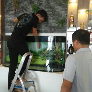Giới thiệu bể thủy sinh của anh Hùng – nhà Mỹ Đình 4