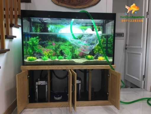 Bể thủy sinh cây nhựa – nhà chị Quỳnh biệt thự Vincom Long Biên 1