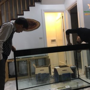 Bể thủy sinh cây nhựa – nhà chị Quỳnh biệt thự Vincom Long Biên 4