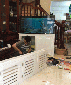 Thi công bể cá rồng chuyên nghiệp uy tín hàng đầu Việt Nam