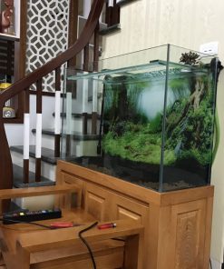 Bể cá thủy sinh nhà anh Hòa Nam Từ Liêm
