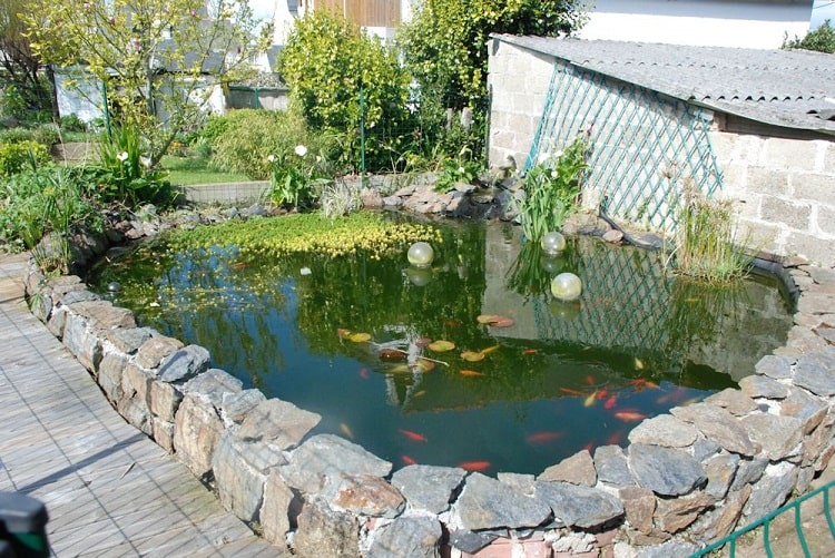 Phong thủy làm bể cá trước nhà