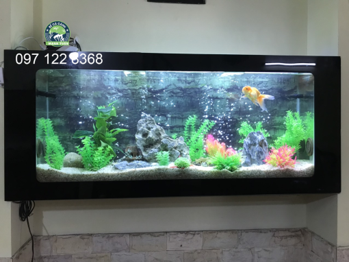 Bể cá treo tường đẹp MT23 được ưa thích nhất tại Hà Nội